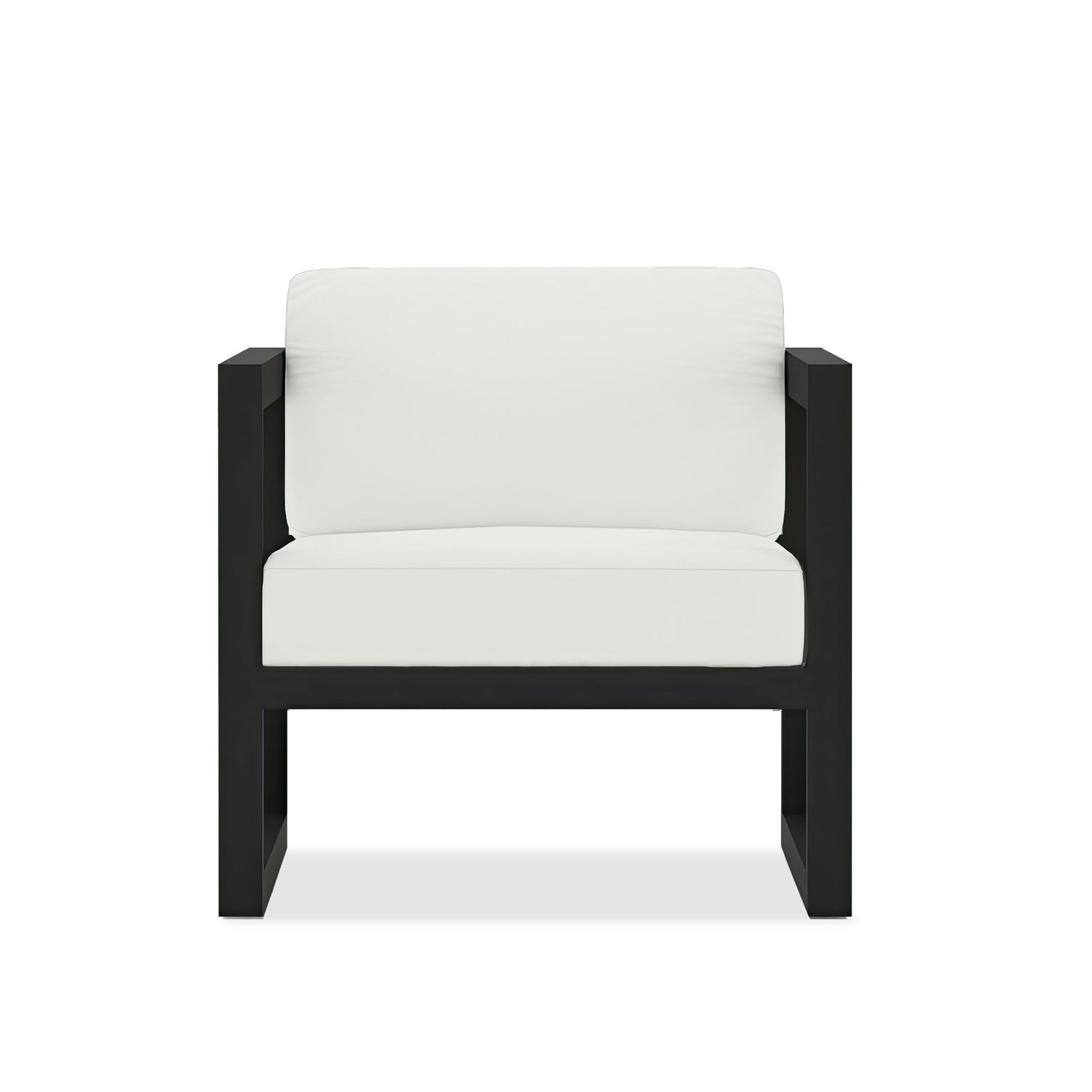 Avion Club Chair in Black / Canvas Natural